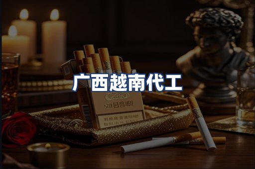 广西越南代工